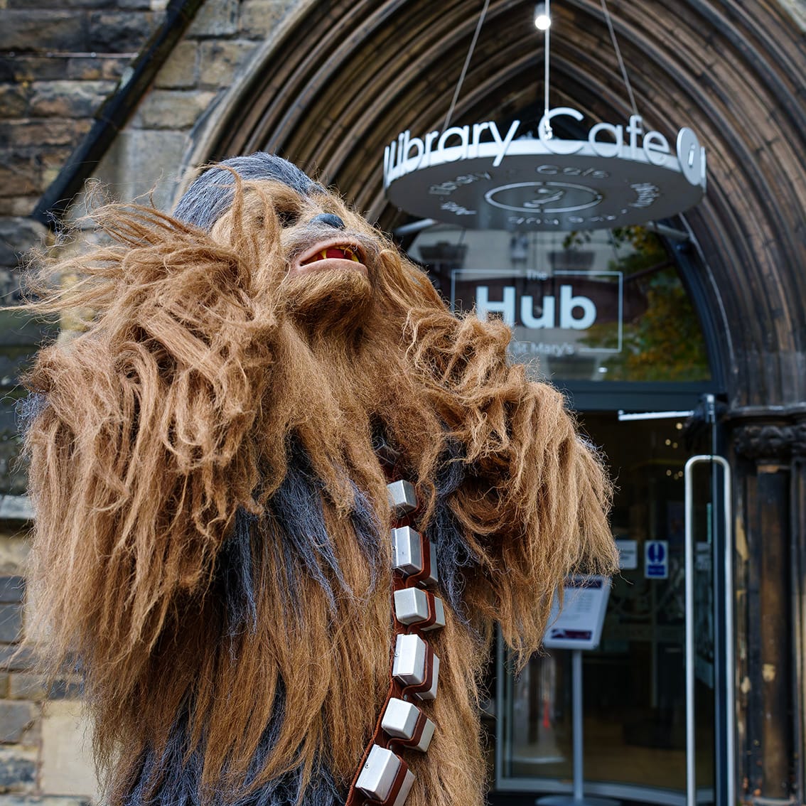Chewbacca
