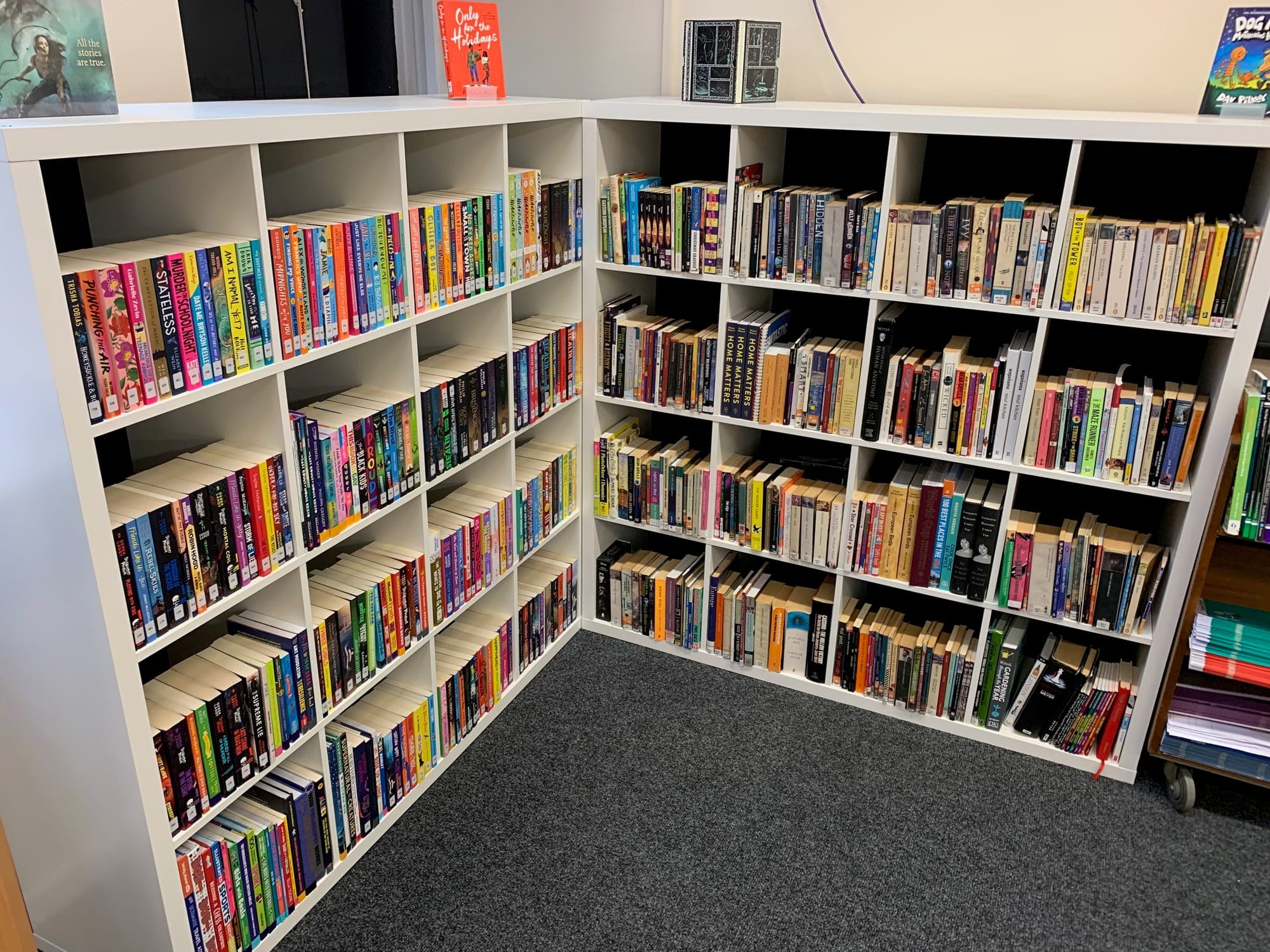 The opening of the Nether Stowe School library