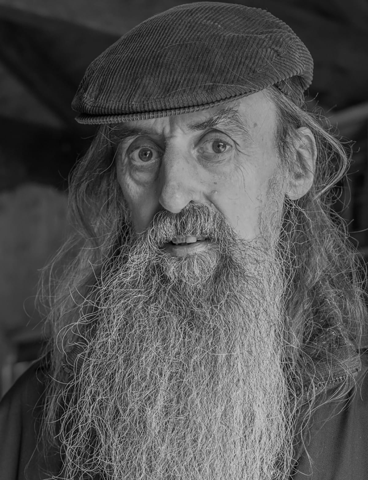 Alan by Kevin Terry