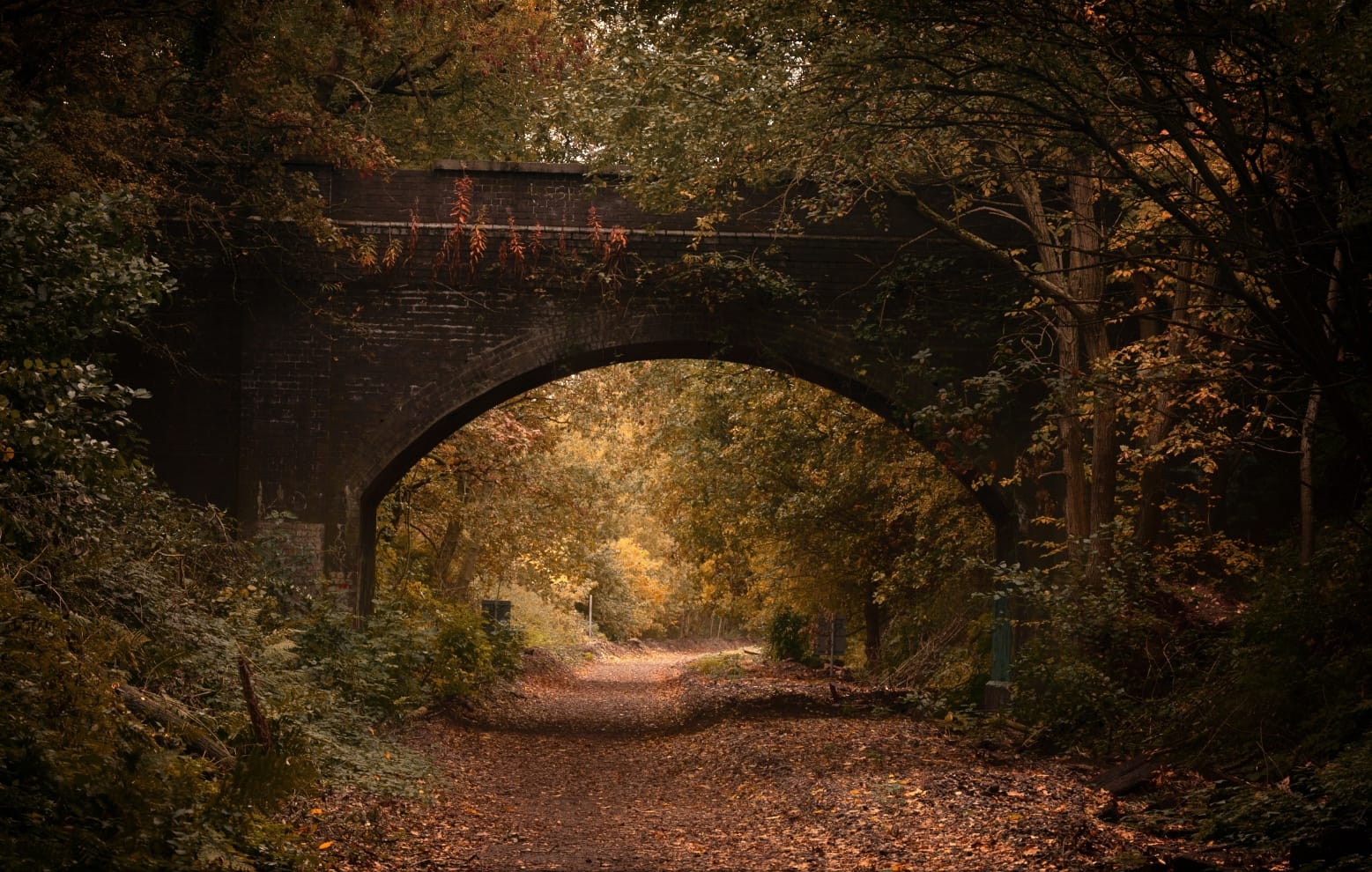 The Greenway by George Hughes