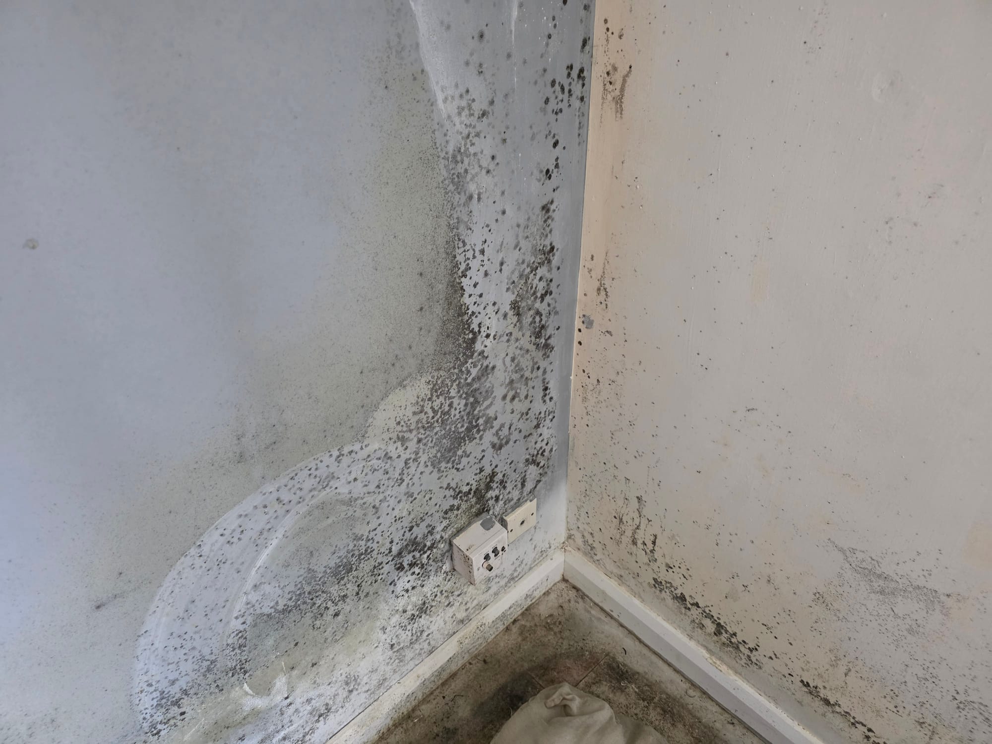 Mould in the property at Green Court