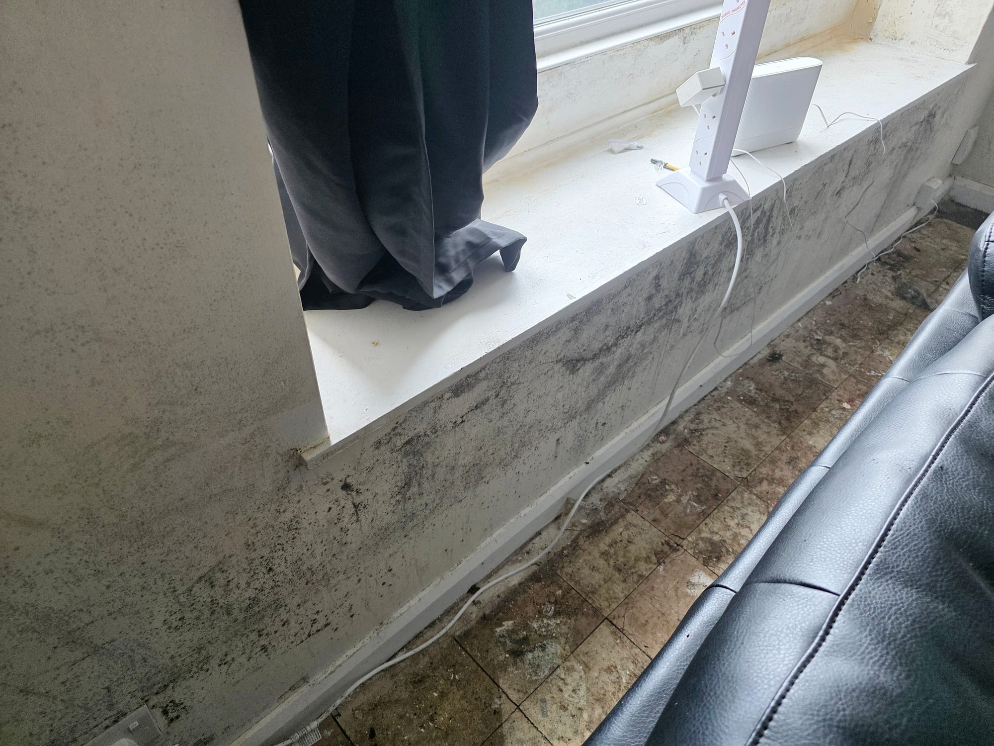 Mould in the property at Green Court
