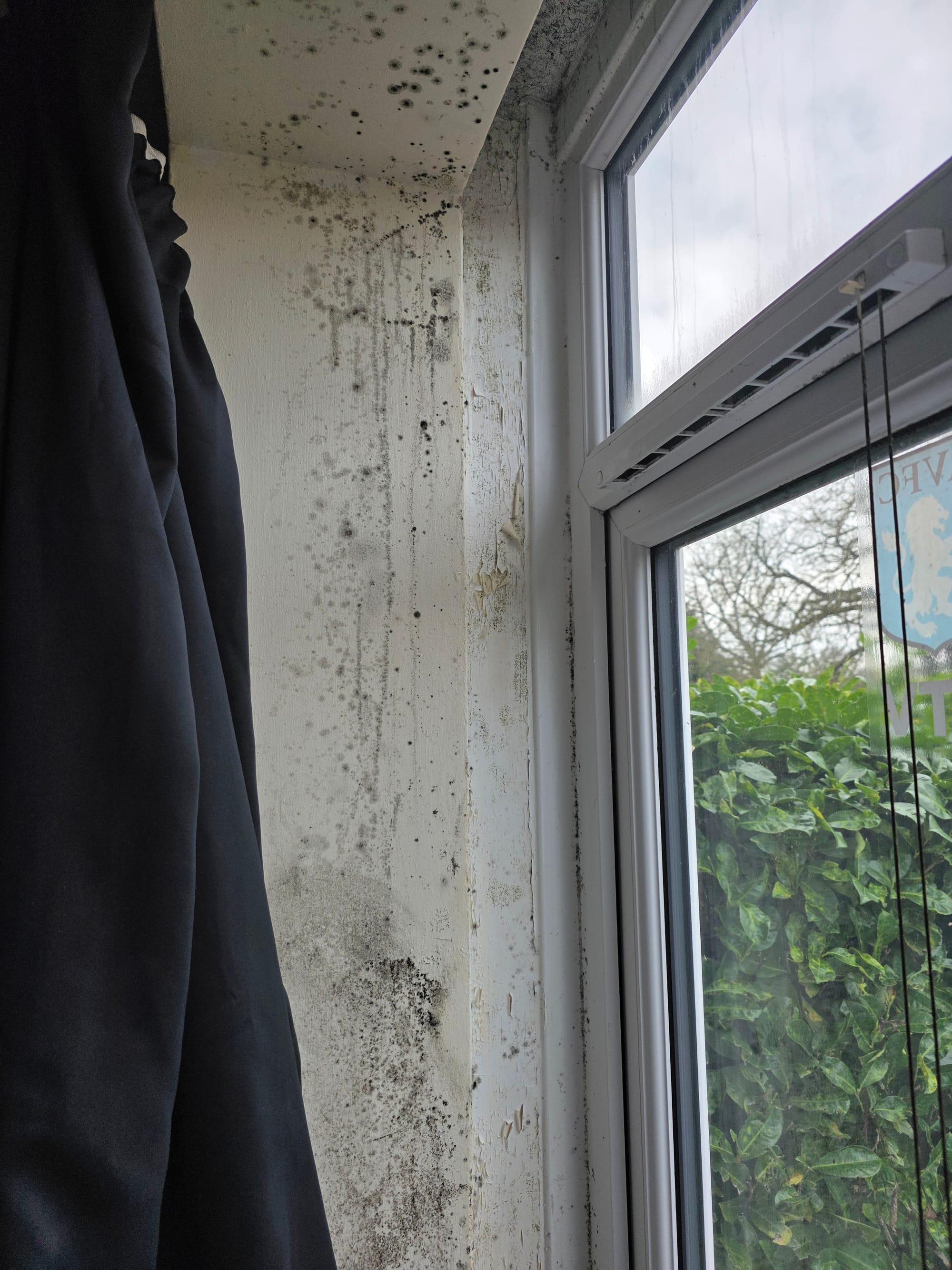 Mould in the property at Green Court