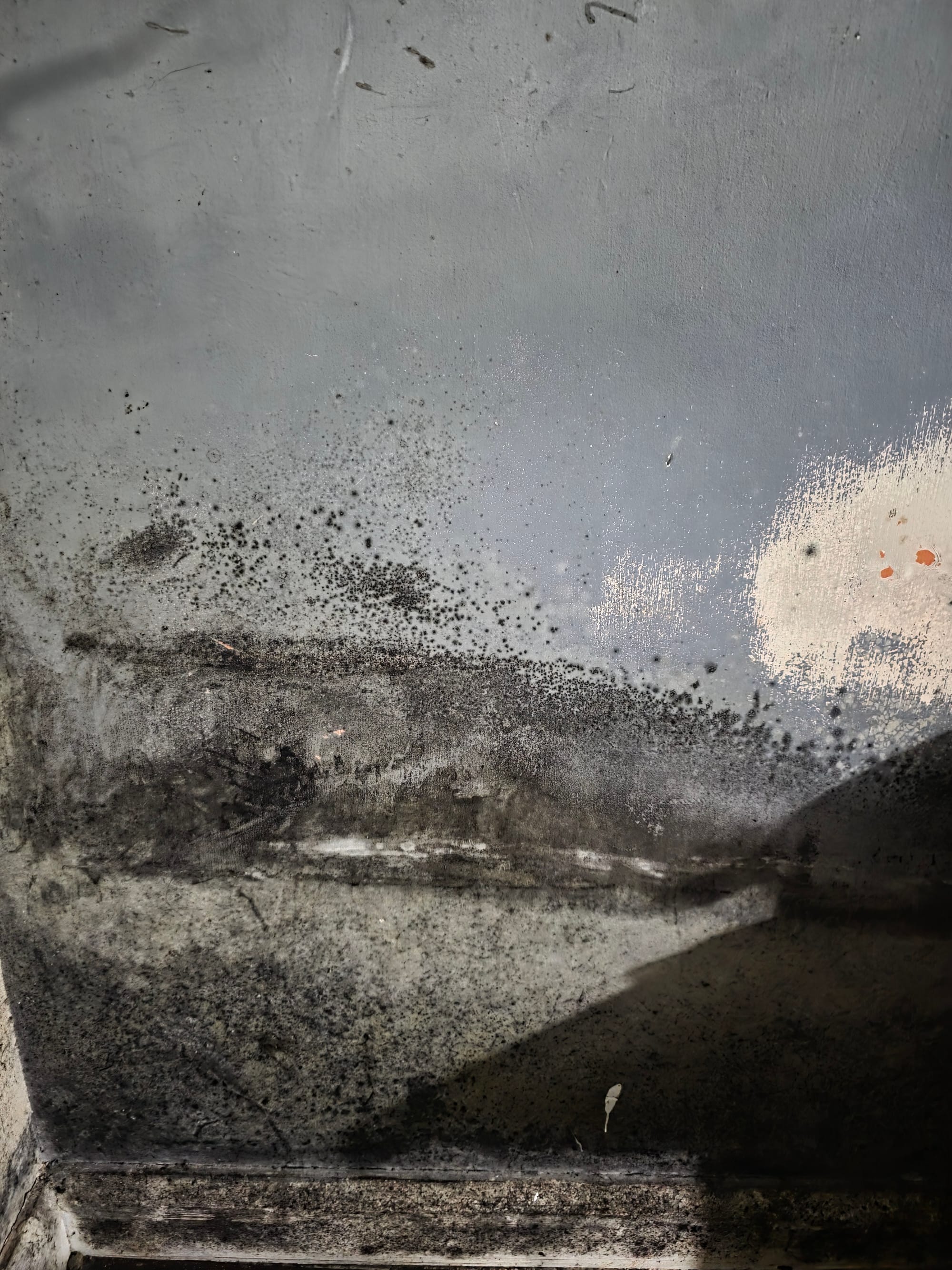 Mould in the property at Green Court