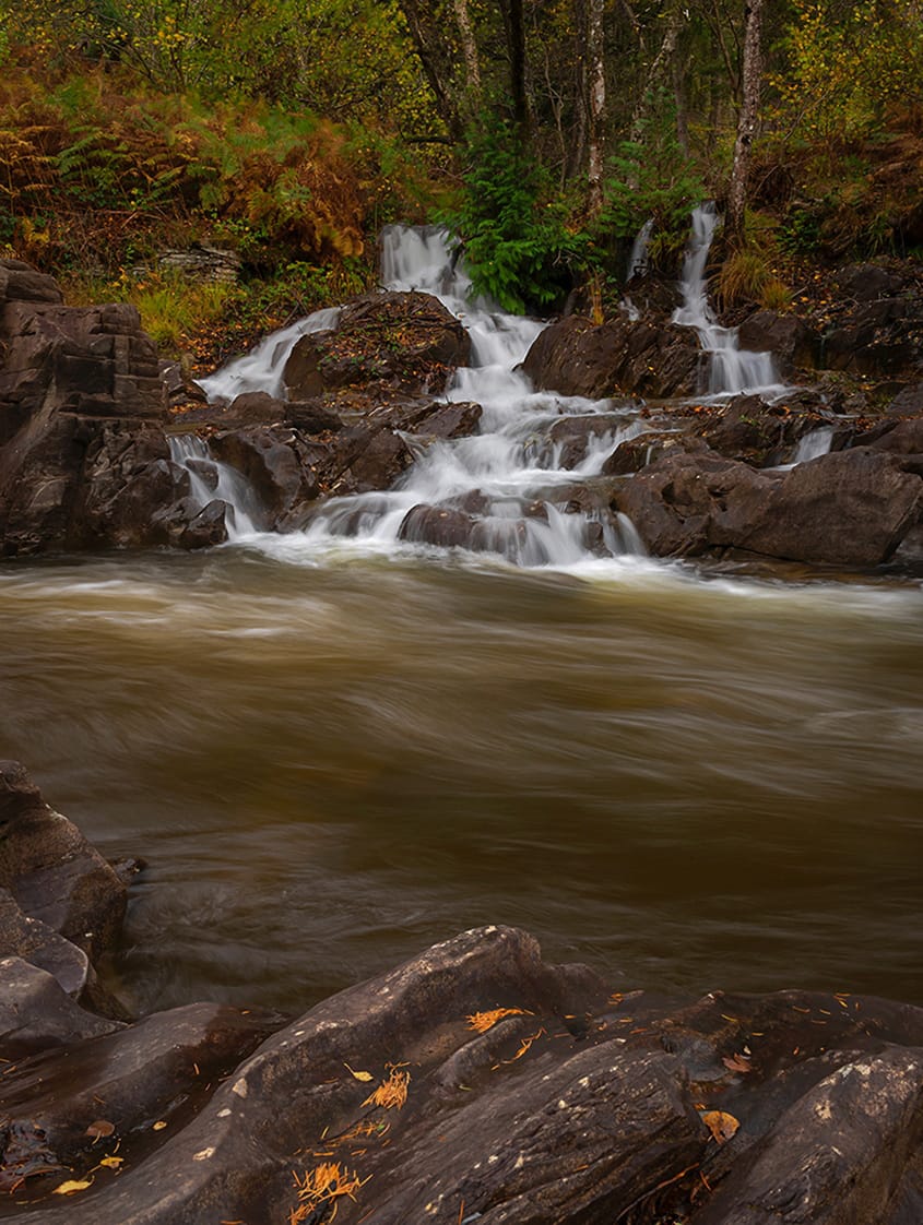 Woodland stream by Steve Clifford