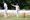 Haider Pervaiz celebrates a wicket for Hammerwich. Picture: Jim Wall