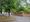 The spot where the lime tree once stood in Whittington