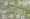 The proposed layout of the development