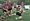 Burntwood hoping to carry trophy form into league opener against Willenhall