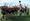 Burntwood players celebrating their victory