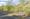 The proposed land for the new petrol station in Rugeley