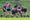 Action from Burntwood RUFC v Crewe and Nantwich