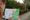 A person taking part in Arbie's i-Spy trail at the National Remembrance Gardens