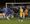 Chasetown players celebrate as Jimmy Turner's free-kick finds the net against Mansfield Town. Pic: Dave Birt