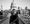 Tommaso Starace