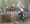 Countryside and Parks Conservation Group