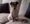 The Jack Russell found in Burntwood