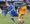 In pictures: Chasetown FC v Mansfield Town