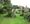 Judy and Brian Littler's Burntwood in Bloom-winning garden