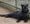 Zilla the black leopard