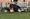 Match report: Burntwood RUFC 7 Spartans RUFC 32