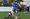 In pictures: Marine v Chasetown FC