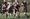 In pictures: Burntwood RUFC U15 v Uttoxeter RUFC