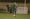In pictures: Rocester v Chasetown FC