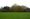 The woodland at Stychbrook Park