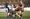 In pictures: Burntwood RUFC v Stoke-on-Trent RUFC