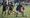 In pictures: Stafford RUFC v Burntwood RUFC