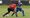 Studley up next as Chasetown FC’s pre-season campaign continues