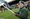Junior Lichfield rugby players perform guard of honour duties at Leicester Tigers clash