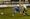 Liam Kirton battles for the ball against Stafford Rangers