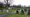 Burntwood Cemetery