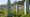 Graves in Srebrenica