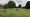 The land off Leyfields earmarked for new housing