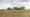 Part of the land which could be used to store HGVs