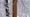 A Peace Pole