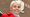 Jane Rutherford
