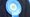 Conservatives rosette