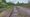 The former South Staffordshire Railway line