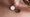 The fundraising necklace