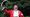 Ken Knowles