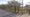 The field in Streethay where houses could be built. Picture: Google Streetview