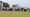 The Boss Partnership's charity golf day