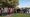 The Johnson's Willow tree planting ceremony