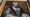 The damaged painting of Erasmus Darwin's mother