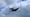 The Lancaster Bomber over Abbots Bromley
