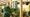 Staff at previous Dobbies Grow How session